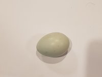 20180905_175956.jpg