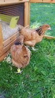 20180904_102709.jpg