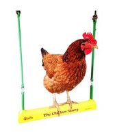 chicken swing.jpg