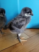 20180905_153429.jpg
