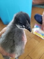 20180905_153451.jpg