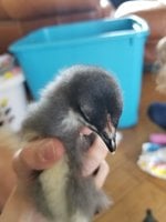 20180905_153513.jpg