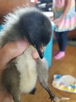 20180905_153527.jpg