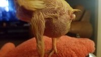 20180905_201628.jpg