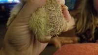 20180905_200704.jpg