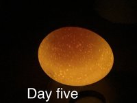 28FC4FA2-8B00-4240-B6A0-BCE2B6701800.jpeg 28FC4FA2-8B00-4240-B6A0-BCE2B6701800.jpeg