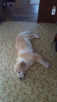 20180905_143035.jpg