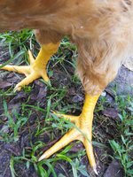 IMG_20180906_091704.jpg