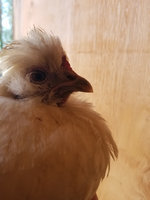 20180906_175345.jpg