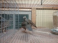 20180906_185325.jpg