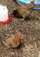 20180907_093114.jpg