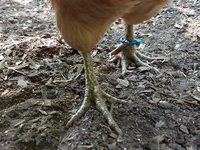 IMG_20180907_103059869.jpg