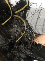 5C50F5C6-884F-42B2-ACC1-C6C729E19E65.jpeg