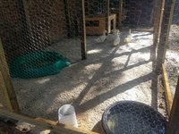20180904_161328.jpg
