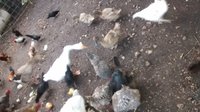 IMG_20180904_191814270.jpg