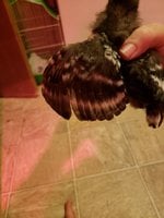 20180907_221658.jpg