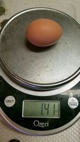 20180908_102251.jpg