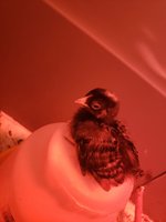 20180908_145258.jpg