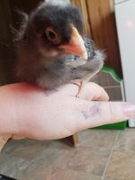 20180908_145046.jpg