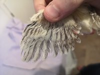 IMG_20180909_184311.jpg