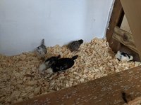 IMG_20180908_132142.jpg