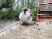 20180909_154154.jpg