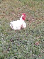 20180909_163443.jpg