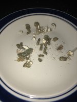 IMG_5124.jpeg IMG_5124.jpeg