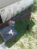 20180910_122339.jpg
