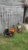 20180908_135018.jpg 20180908_135018.jpg