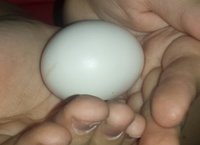 20180910_155706-1.jpg
