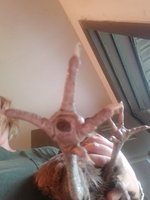 20180910_182224.jpg
