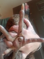 20180910_182229.jpg