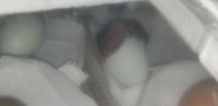 20180911_123102.jpg
