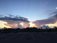 74E2FBD1-A356-4EDC-990B-D4E7803D65E0.jpeg