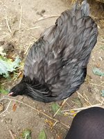 20180911_152715.jpg
