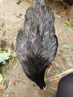 20180911_152717.jpg