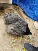 20180911_152742.jpg