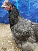 20180911_152810.jpg