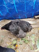 20180911_152814.jpg