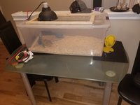 20180911_194100.jpg