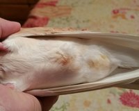 20180911_193125-1.jpg