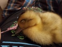 20180911_222114.jpg