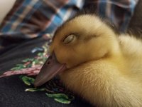 20180911_222119.jpg