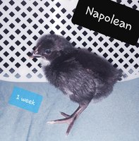 20180911_104439.jpg