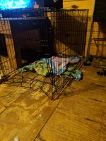 IMG_20180912_205934.jpg