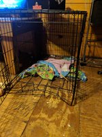 IMG_20180912_205931.jpg
