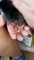 20180912_191527.jpg