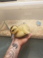 20180913_062034.jpg