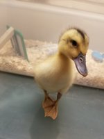 20180913_062059.jpg